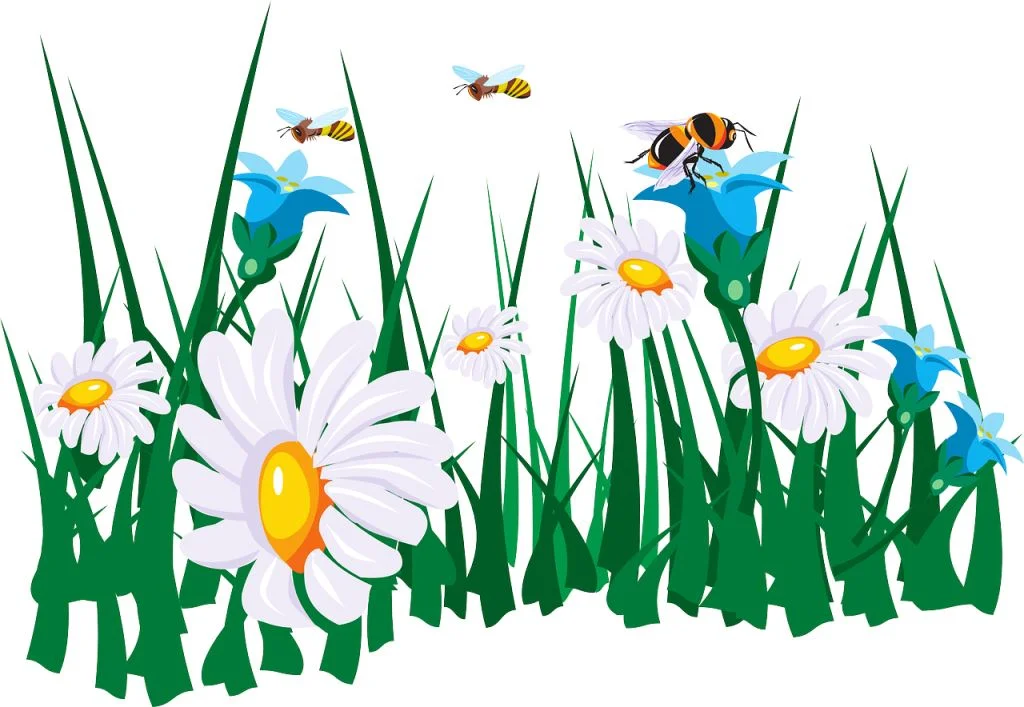 jabarkan proses hubungan simbiosis antara bunga dan lebah